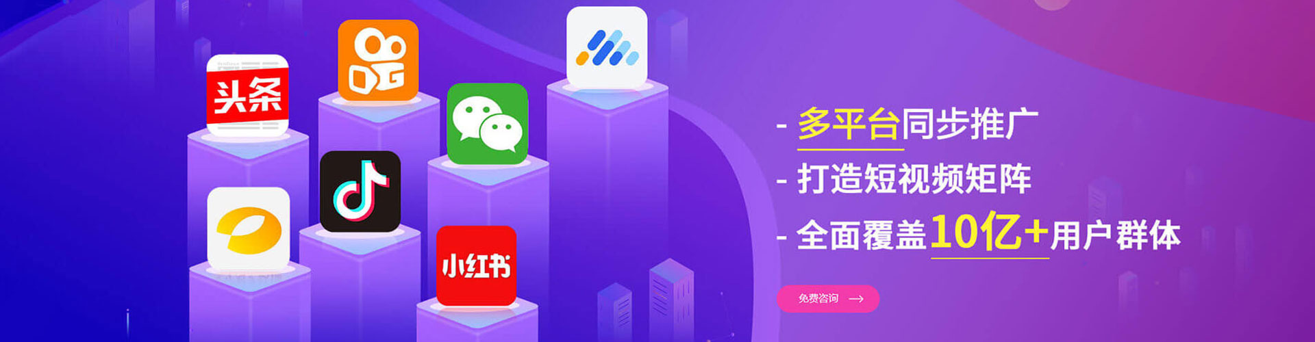 金东sem专员